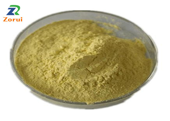 Хорошая цена. Большая часть порошка кверцетина выдержки Japonica софоры для Suppressant мокротогонного CAS 117-39-5 кашля онлайн