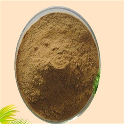 Хорошая цена. Экстракт пальмета-пилы CAS 84604-15-9 Косметический класс Serenoa Serrulata для ухода за волосами онлайн
