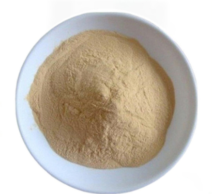 Хорошая цена. CAS 8013-01-2 Экстракт дрожжей, повышающий аромат Saccharomyces Cerevisiae онлайн